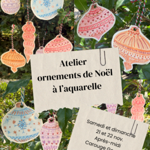 Atelier aquarelle | 21 novembre 2026 | Carouge